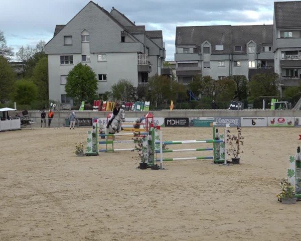 Reitturnier Amriswil 2025
