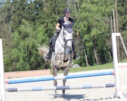 dressage horse Georgina 13 (unknown, 2018)