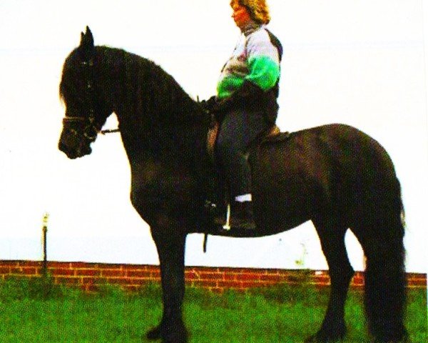 horse Zoe Kuiper (Friese, 1991, from Foppe 290)
