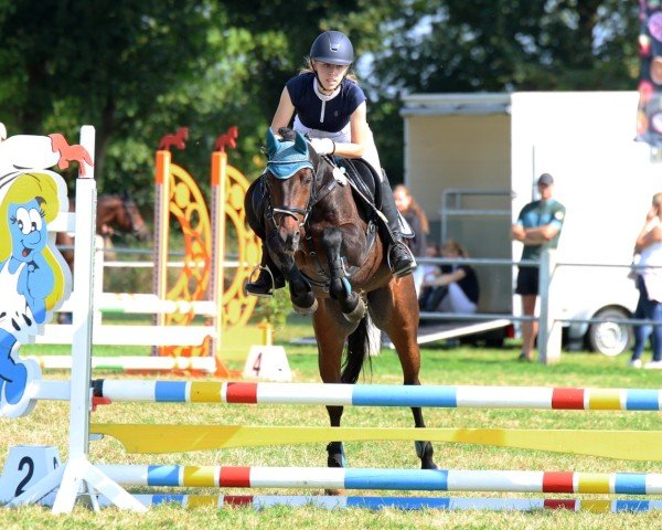 jumper Burli 34 (German Riding Pony, 2001, from Burlington S)