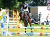 Springpferd Burli 34 (Deutsches Reitpony, 2001, von Burlington S)