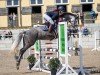 Springpferd Madame 100 (Deutsches Sportpferd, 2018, von DSP Meridian)