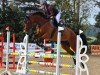 jumper Kali des Alizes (Belgium Sporthorse, 2016, from Quinar)