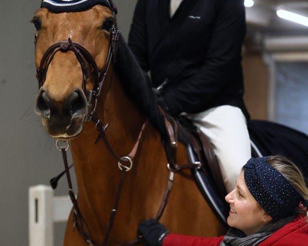 Springpferd Ruby van de Warande (Belgisches Warmblut, 2017, von Matisse de Mariposa)