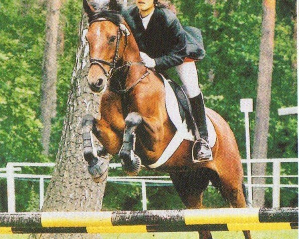 Zuchtstute Cleopatra 73 (Deutsches Reitpony, 1997, von Tashunko)