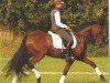 dressage horse So.Dornkaat (German Riding Pony, 1999, from Proud Dandy S)