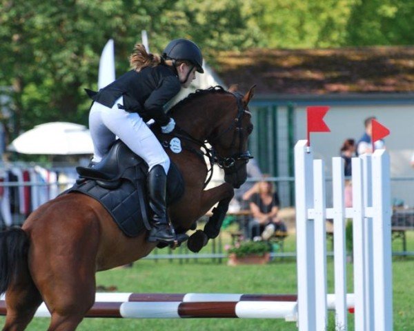 jumper Monacco 7 (German Riding Pony, 2018, from Monopoly SG)