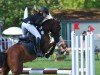 Springpferd Monacco 7 (Deutsches Reitpony, 2018, von Monopoly SG)
