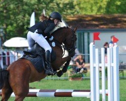 jumper Monacco 7 (German Riding Pony, 2018, from Monopoly SG)