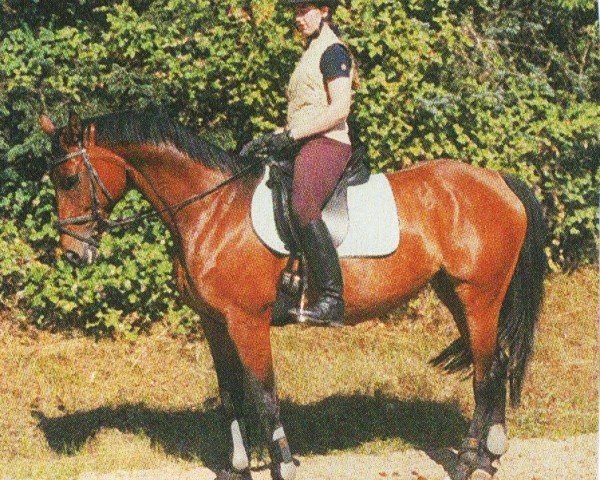 broodmare Chrome (Hessian Warmblood, 1987, from Chromatic xx)