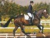 horse Lakkolith 4 (Holsteiner, 2000, from Leandro)