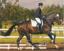 horse Lakkolith 4 (Holsteiner, 2000, from Leandro)