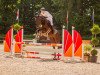 jumper Valevia (Oldenburg show jumper, 2016, from Vagabond de la Pomme)