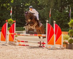 jumper Valevia (Oldenburg show jumper, 2016, from Vagabond de la Pomme)