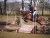 jumper Travieso 6 (Cruzado, 2013)