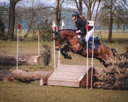 Springpferd Travieso 6 (Cruzado, 2013)