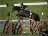 jumper Hidden Treasure (KWPN (Royal Dutch Sporthorse), 2012, from Tangelo van de Zuuthoeve)