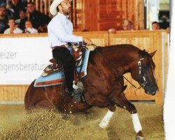 Pferd Great Sun Burst (Quarter Horse, 2003, von Great Resolve)