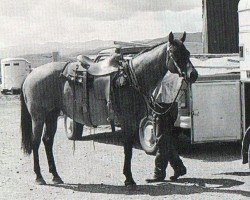 Pferd MS Blu Win (Quarter Horse, 1984, von Keep The Fire)