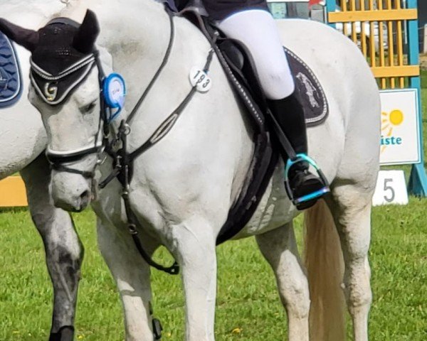 jumper Geronimo 590 (unknown, 2007)