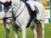 jumper Geronimo 590 (unknown, 2007)