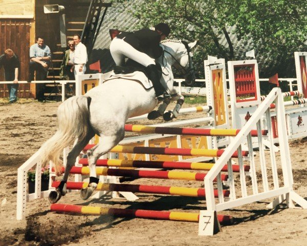 horse Glorian Grey (Hanoverian, 1990, from Wienerwald)