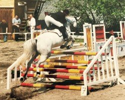 horse Glorian Grey (Hanoverian, 1990, from Wienerwald)