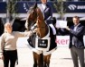 jumper Monbeg Thunderball B (Irish Sport Horse, 2012, from O-Piloth)