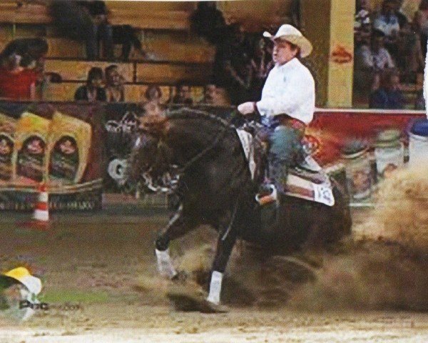 horse Heza Mega Whiz (Quarter Horse, 2005, from Topsail Whiz)