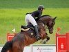 jumper Kalé le beau (Hanoverian, 2019, from Kétanou)
