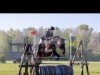 Springpferd Bacardi (Ungarisches Warmblut, 2015)