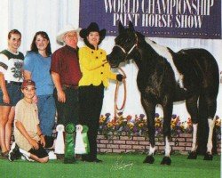 Pferd Painted Be Tru (Paint Horse, 1993, von Painted Tru Tru)