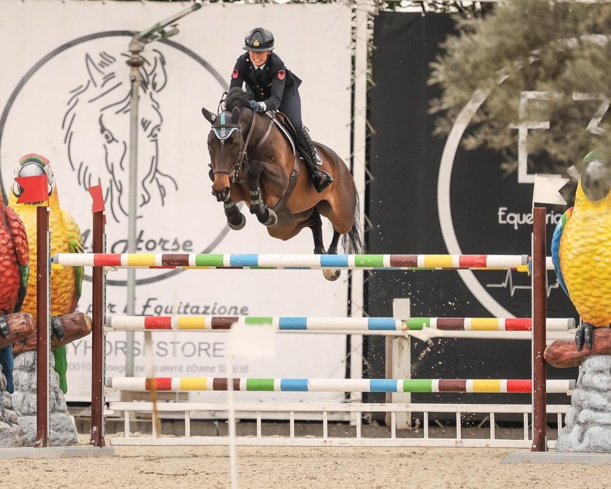 jumper Lothagravin (KWPN (Royal Dutch Sporthorse), 2016, from El Salvador)
