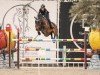 jumper Lothagravin (KWPN (Royal Dutch Sporthorse), 2016, from El Salvador)