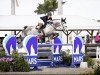jumper Billy Everest (anglo european sporthorse, 2013, from Billy Congo)