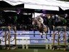 broodmare FBW Graphik (German Sport Horse, 2013, from Graf Rhapsody)