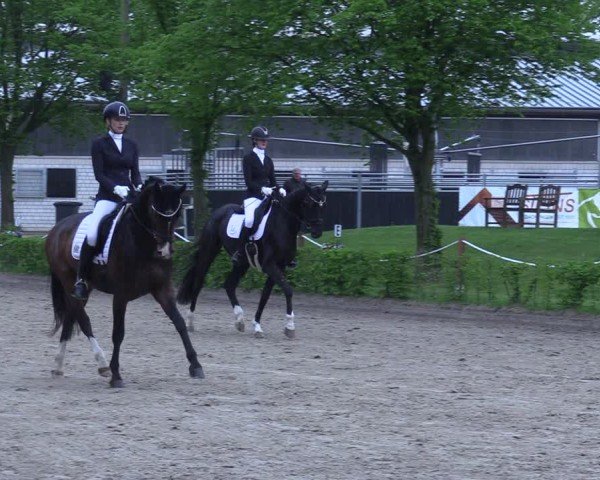 Reitturnier Olfen 2025