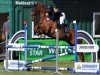 Springpferd Der Lord 28 (Oldenburger, 2010, von Duke of Hearts xx)