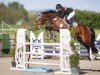jumper Cara Jolie SL (Oldenburg, 2017, from Cachassini)