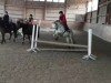 dressage horse Nick (German Riding Pony, 2011, from Nazib)
