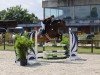 jumper Piekfeine 2 (Holsteiner, 2011, from Contendro I)