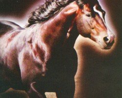 horse HA Stardust (Quarter Horse, 2001, from Grays Starlight)
