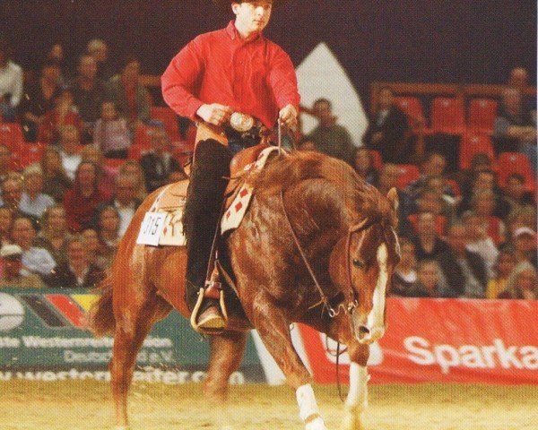 stallion Snapper Cal Bar (Quarter Horse, 1981, from Cal Bar)