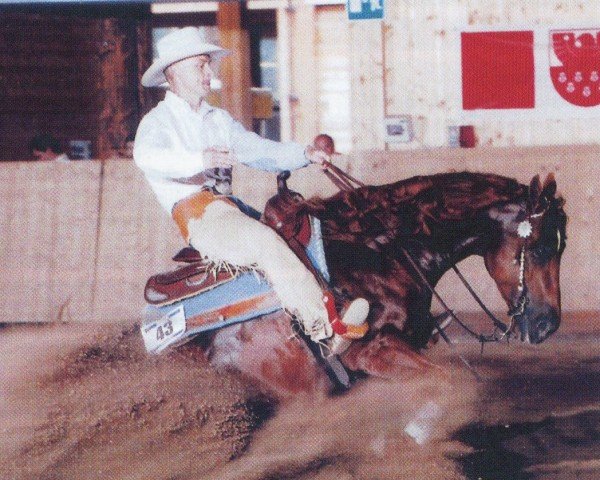 Deckhengst Star At The Bar (Quarter Horse, 1998, von Grays Starlight)