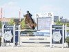 Springpferd Monfaut Gumo Mp (KWPN (Niederländisches Warmblut), 2017, von Comme il Faut)