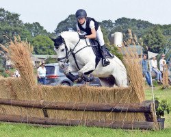 jumper Dryfee Wandering Minstral (Welsh Partbred, 2008, from Dawnway Sunny Boy)