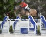 jumper Rolls D Elbe (Selle Français, 2005, from Luccianno)