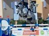 jumper Palermo van't Looveryck (Belgian Warmblood, 2015, from Thunder van de Zuuthoeve)