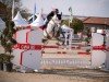 jumper Escobar SL (Hanoverian, 2020)