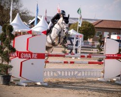 jumper Escobar SL (Hanoverian, 2020)